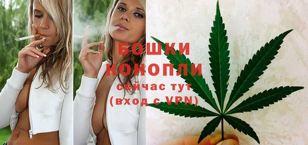 mdpv Богородск
